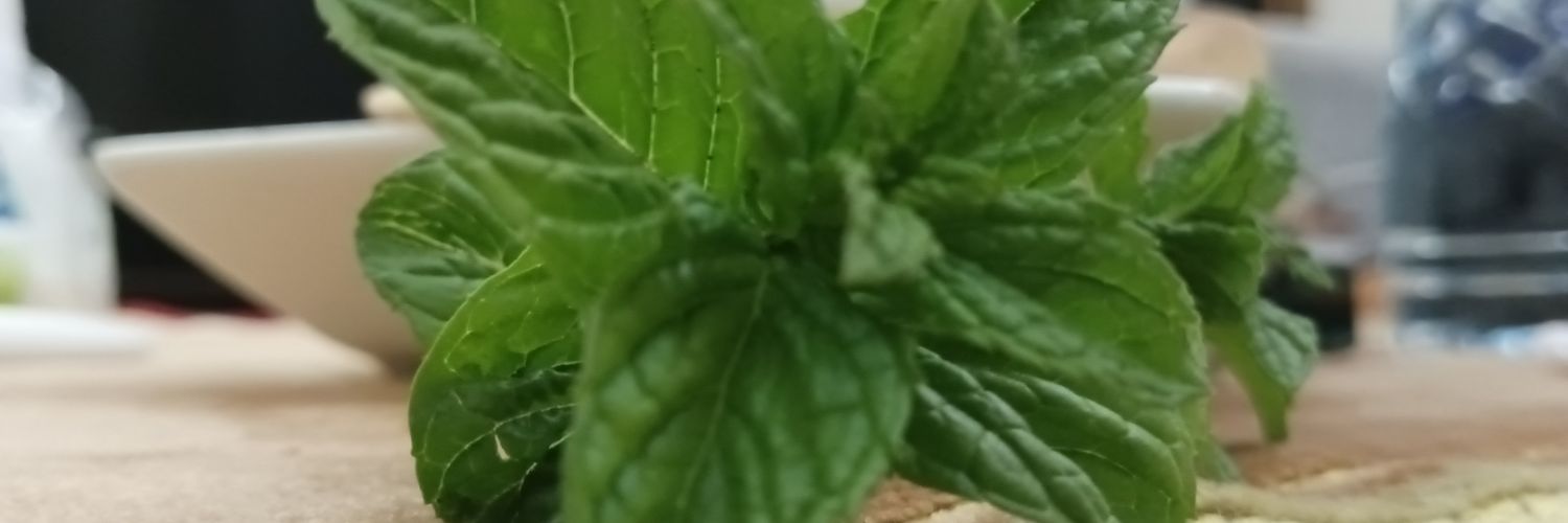 PLE_steban's profile banner image