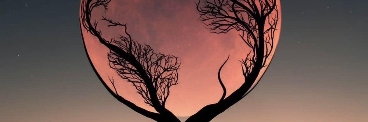 M4gnet1c_'s profile banner image