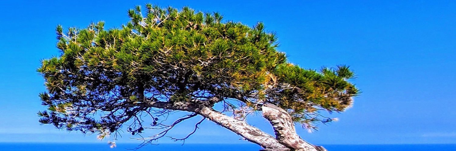Rock_son19's profile banner image
