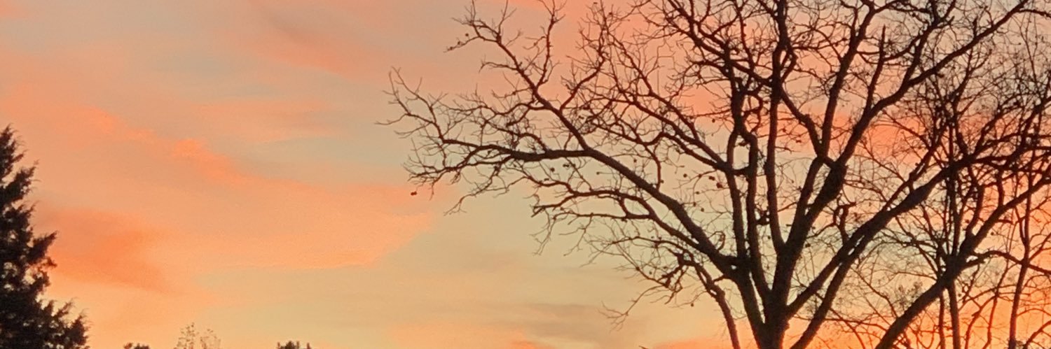 hellabella_rose's profile banner image