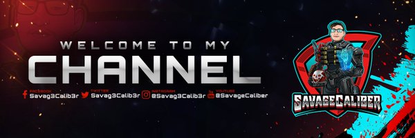 savag3calib3r Profile Banner