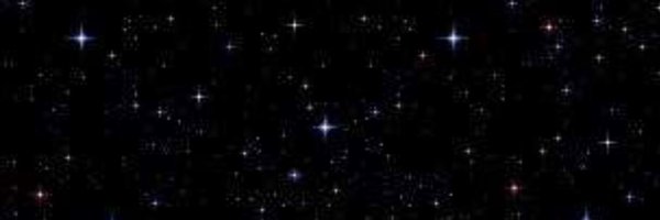 wilson4504 Profile Banner