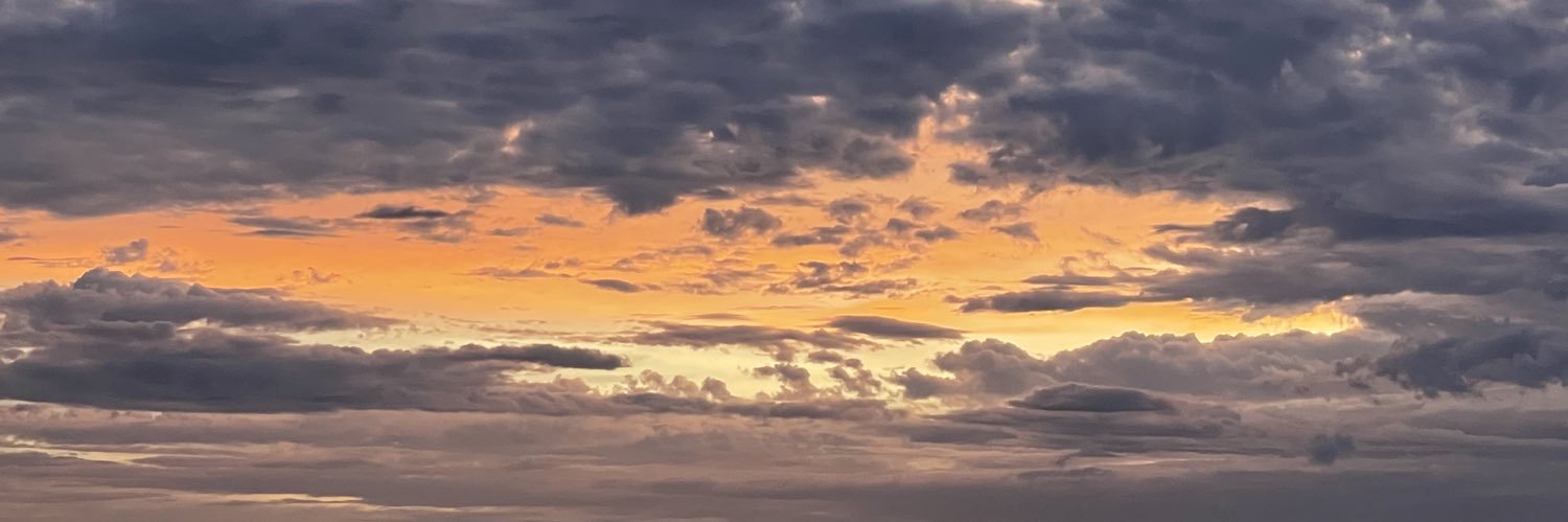 AnaAlexandraZ's profile banner image