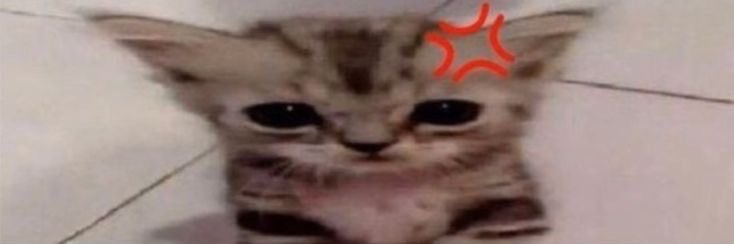 narenitius's profile banner image