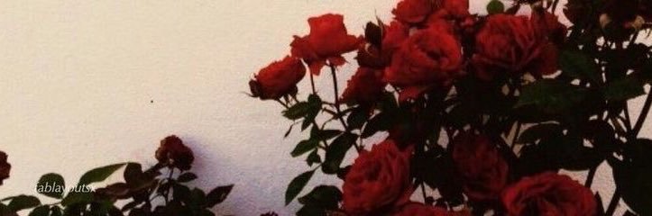 lorenceb_'s profile banner image