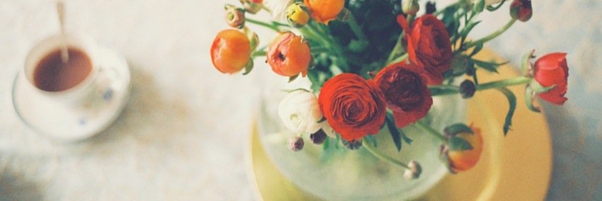 theweekendco's profile banner image