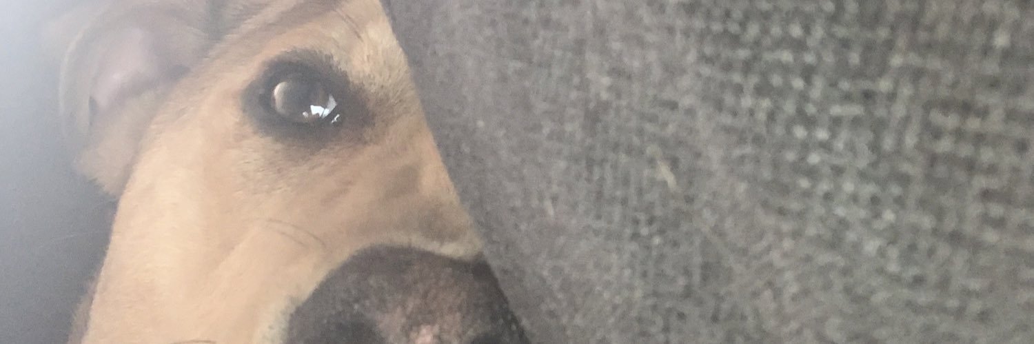 carson_vittorio's profile banner image