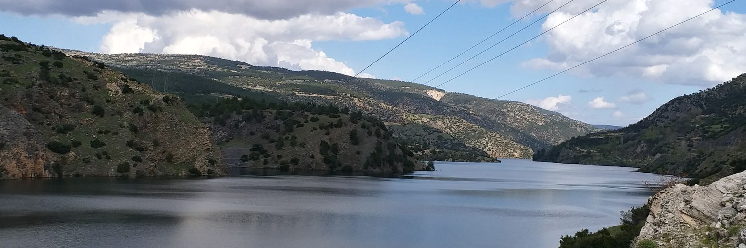 dmrygrn's profile banner image