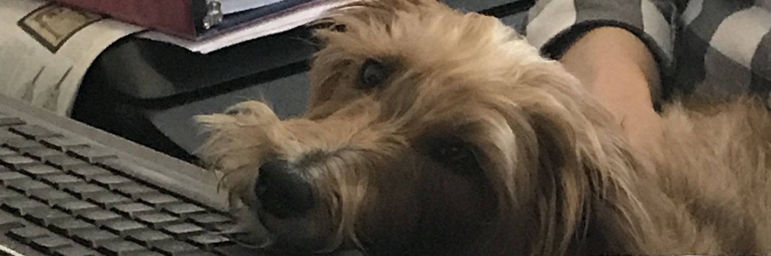 jarrydsin's profile banner image