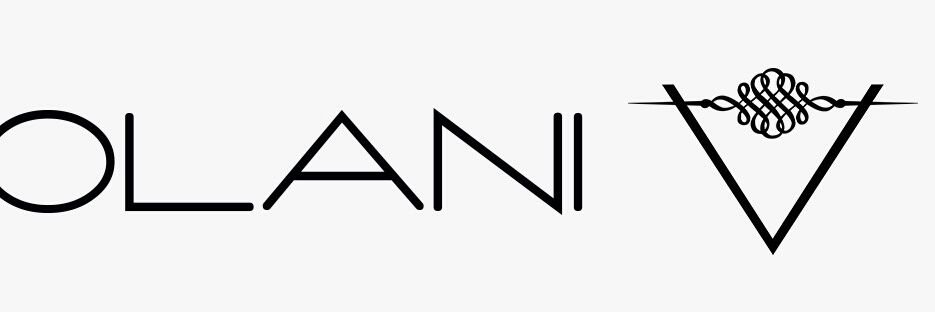 Volani_official's profile banner image