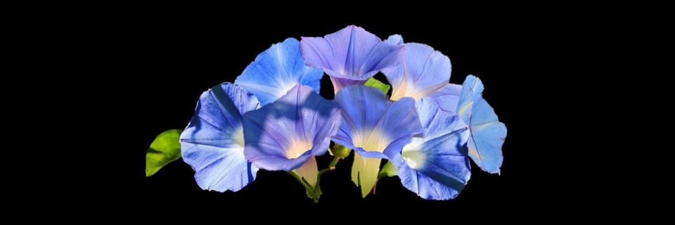 coding_sub's profile banner image