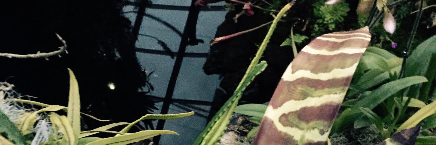 bertkeeper's profile banner image