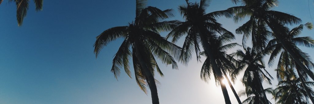 sjfrrrn's profile banner image