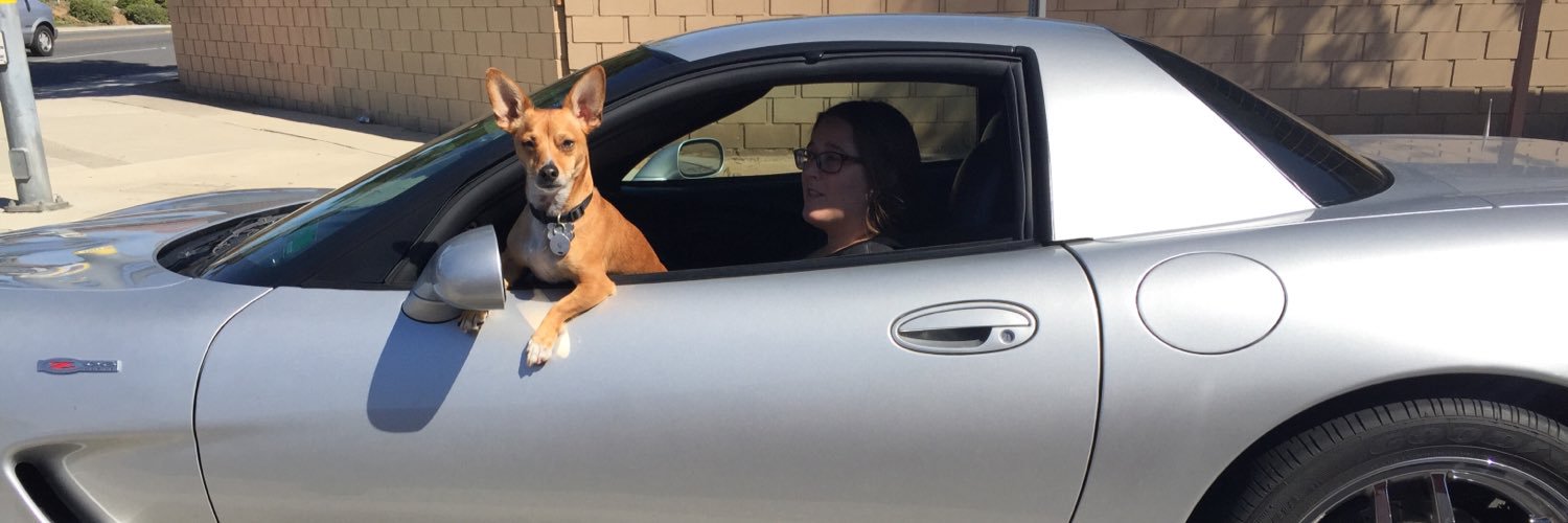 MrBooBoothedog's profile banner image