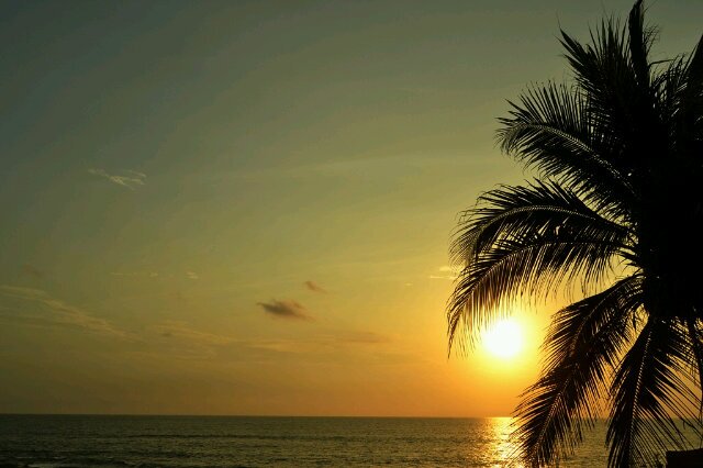 fidasyarifa's profile banner image