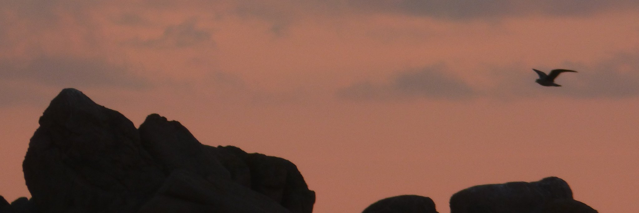 FDinkelaker's profile banner image