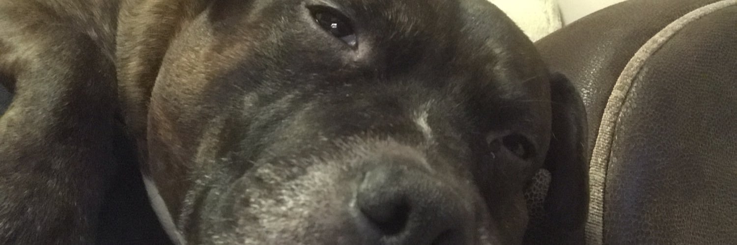 Staceyeustace84's profile banner image