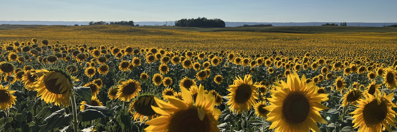 Autumn Ackerman banner