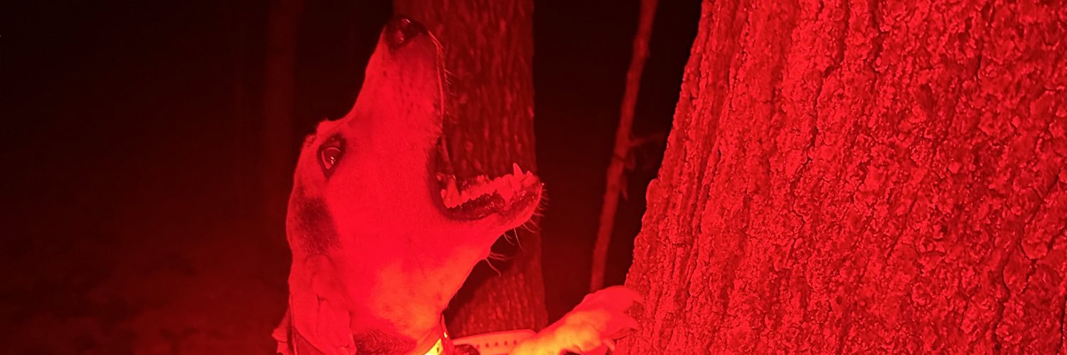 loganmcvoy63's profile banner image