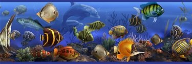 DeeterPeggy's profile banner image