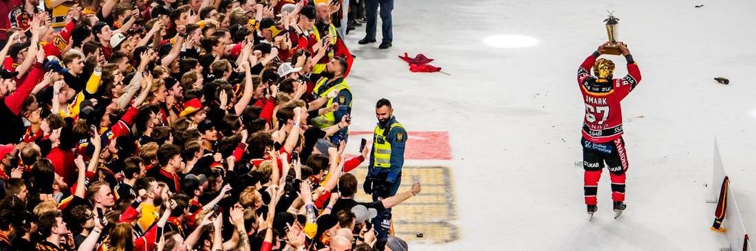 petter englund banner