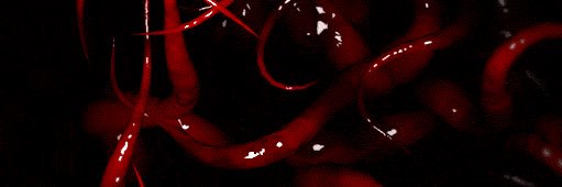 methfrr's profile banner image