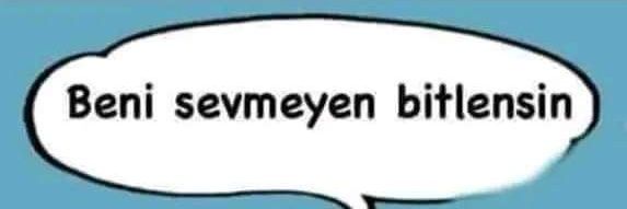erenbedis's profile banner image