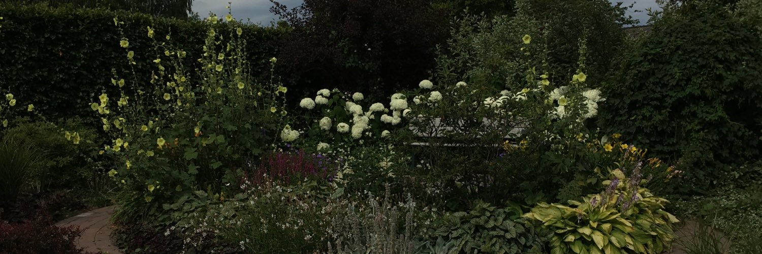 jilllundbom's profile banner image