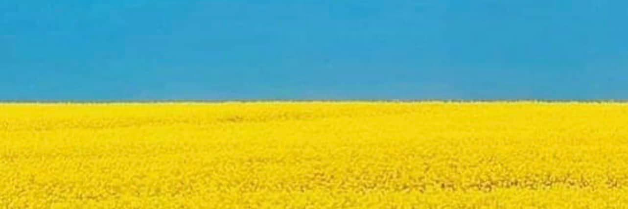 VanniSanna's profile banner image