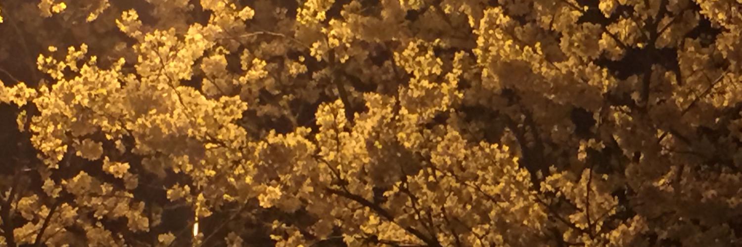 llbymyself's profile banner image