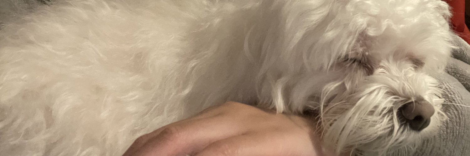 pockykr's profile banner image