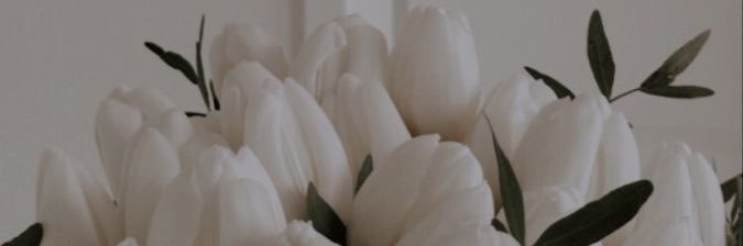 Hi, it’s Tee 🤷🏾‍♀️ banner
