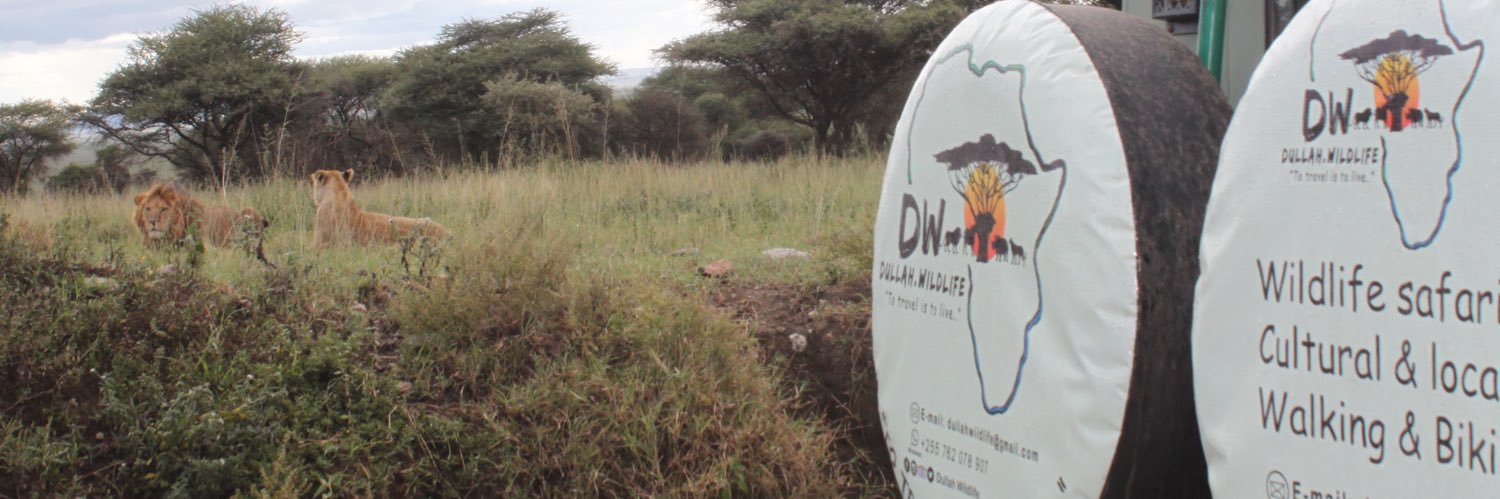 dullahwildlife's profile banner image