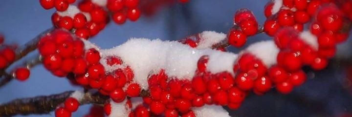 beth_labree's profile banner image
