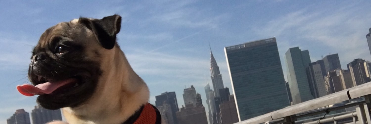 melbrooksthepug's profile banner image