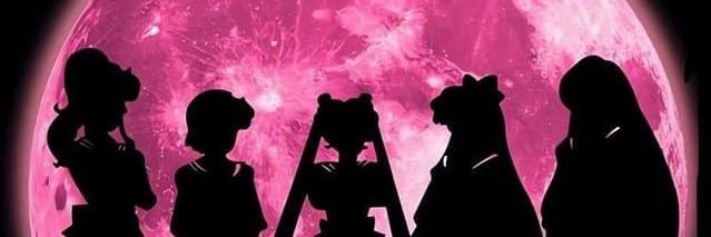 KATT_YUMMY's profile banner image