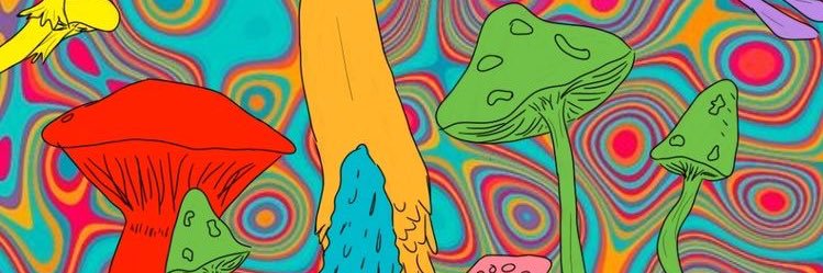 lelizabethb's profile banner image
