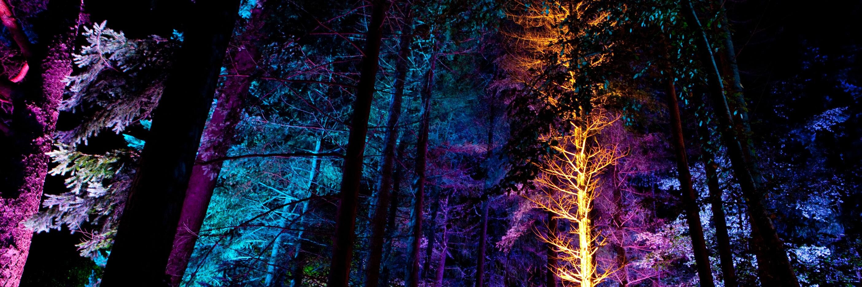 FelixCage's profile banner image
