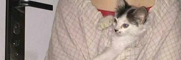 whendyingg's profile banner image