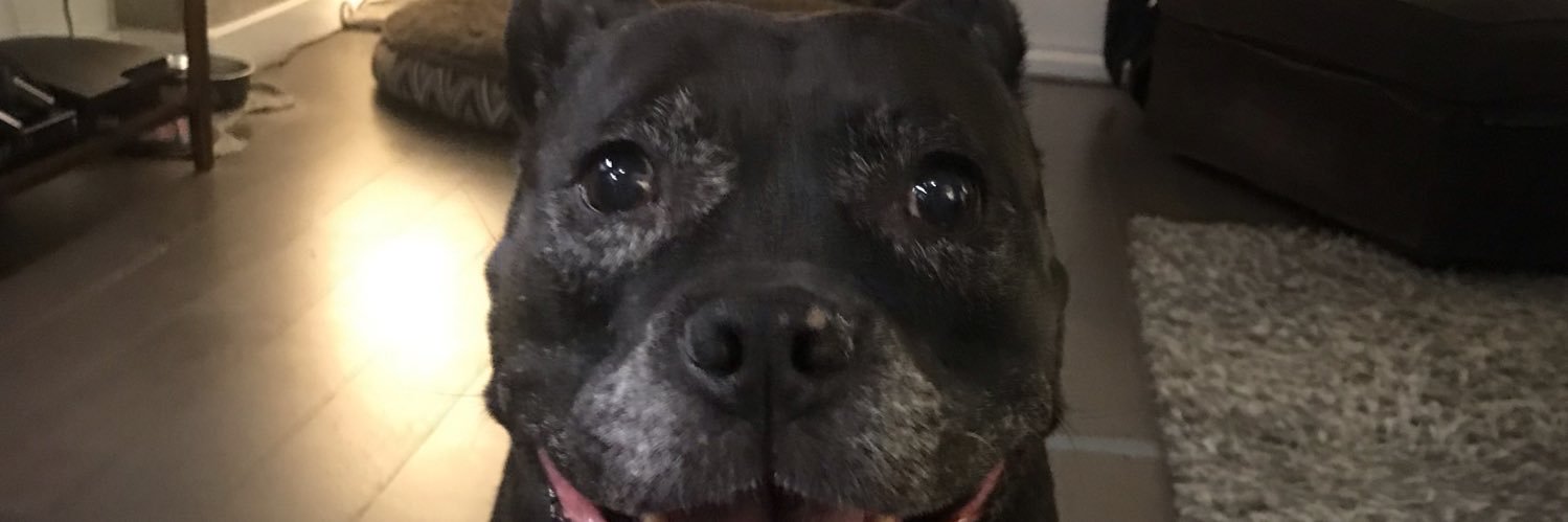 tek_joseph's profile banner image