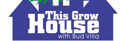 bud_villa's profile banner image