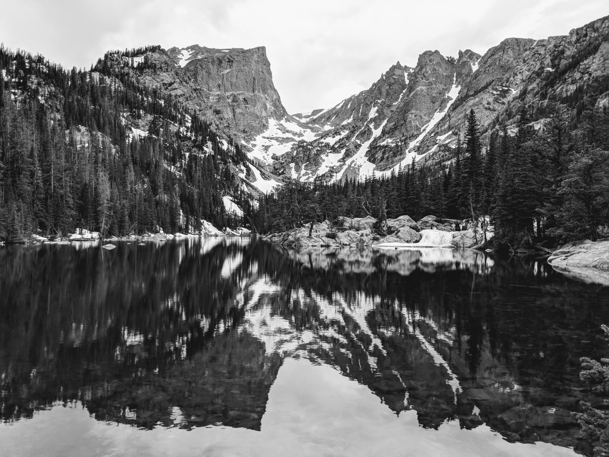 Bogdan Matican banner