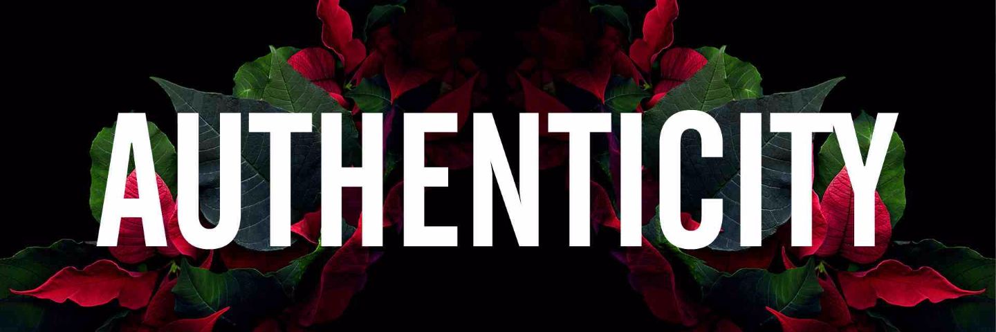 used🦖 banner