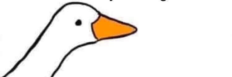 mkwhelan13's profile banner image