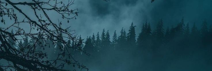 Dariana_028's profile banner image