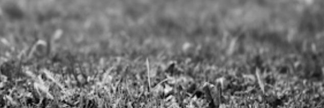 26__l's profile banner image