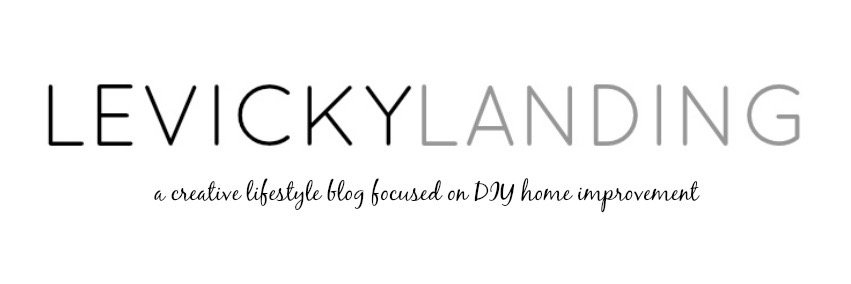 levickylanding's profile banner image