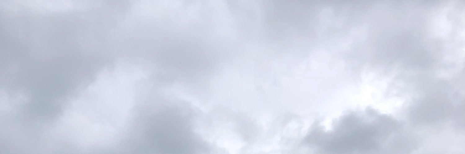 conbrwn's profile banner image