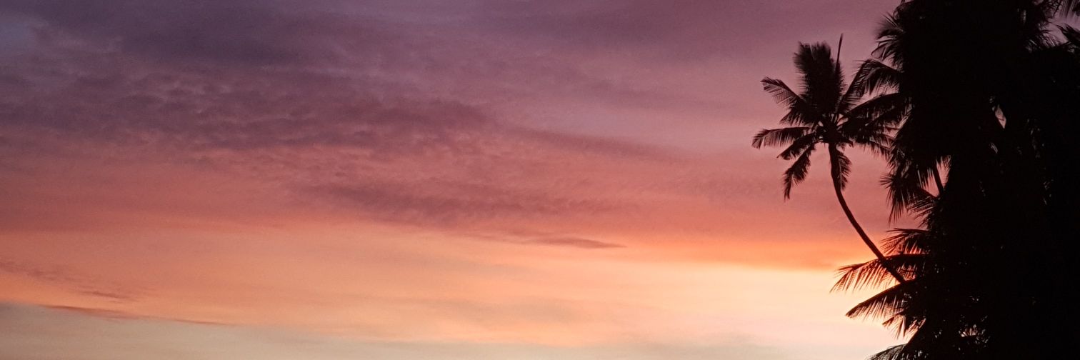 domingming's profile banner image