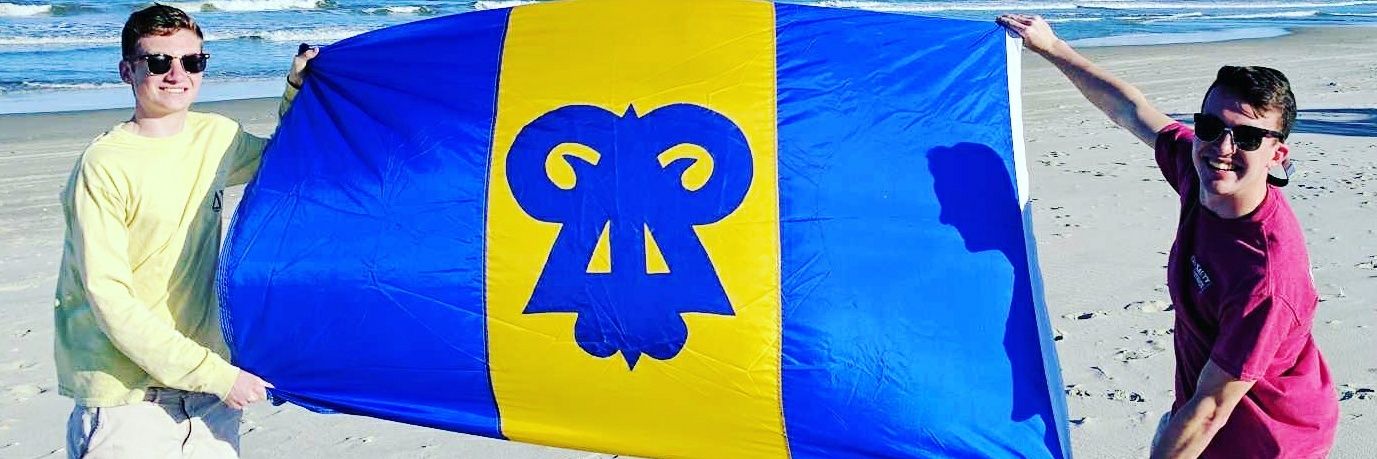 JMU Delta Upsilon banner